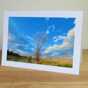 Baum im Feld - Versprechen von Morgen - Inspirational / Geburtstag / Sympathie / Just Because Grußkarte