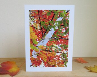Autumn Kaleidoscope, Birch Tree in Vermont - Inspirational / Birthday / Just Because Greeting Card