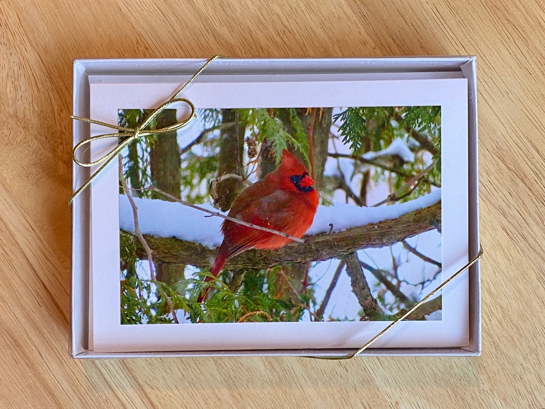 Cardinal BOX SET of 10 “special Visitor” Christmas / Holiday / Thinking ...