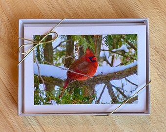 Cardinal BOX SET of 10 “Special Visitor” Christmas / Holiday / Thinking of You Cards