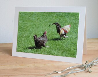 Chicken & Rooster on the Run - Valentine / Friendship / Birthday Greeting Card