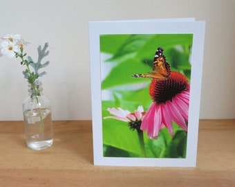 Butterfly on Echinacea Coneflower - Inspirational / Birthday / Just Because Greeting Card