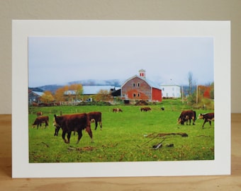 Vermont Cows by Barn in Autumn - Inspirational / Birthday / Just Because Greeting Card