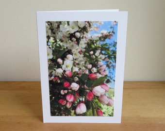 Pink Blossoms - Crabapple Flowers - Inspirational / Birthday / Sympathy / Just Because Greeting Card