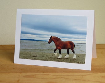 Shire Horse on Beach, Lake Champlain Vermont - Birthday / Thinking Of You Model Horse Greeting Card