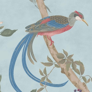 May include: A detailed illustration of a bird with long blue tail feathers perched on a tree branch. The bird features red, blue, and gray plumage, with a long yellow beak. The background is a light blue with leaves and branches.