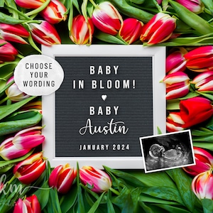 Tulpen Blumen Schwangerschaftsankündigung Digital, Baby in Bloom, maßgeschneiderte Blumen Baby offenbaren, rosa rote Rose, Social Media Idee Instagram