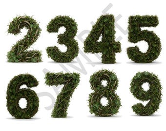 Imágenes PNG de animales salvajes y el número 10 / Fuente de safari en la jungla para sublimación, decoración de baby shower, descarga digital para manualidades de cumpleaños, número verde