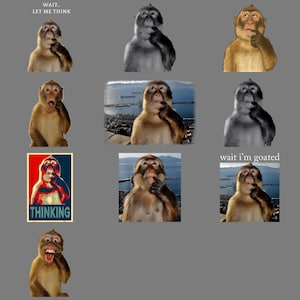 Peut inclure: Un collage d'images mettant en scène un singe dans diverses poses et couleurs. Certaines images contiennent du texte : "WAIT... LET ME THINK", "THINKING" et "wait I'm goated". Le singe est souvent représenté avec une expression pensive.