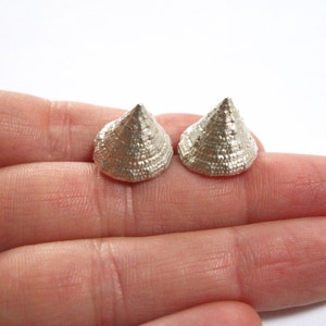 May include: A pair of silver cone-shaped earrings with a textured surface.