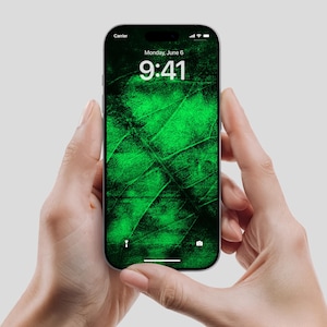 Könnte beinhalten: Ein Smartphone mit einem grünen, blattartigen Design auf dem Bildschirm wird von zwei Händen gehalten. Der Bildschirm zeigt die Uhrzeit 9:41 Uhr und das Datum Montag, 6. Juni an. Das Telefon hat einen schwarzen Rand und einen silbernen Rahmen.