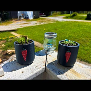 Op de afbeelding: Twee zwarte cilindrische plantenbakken met een rood aardbeienontwerp, elk met groen. Er is ook een glazen pot met een zilveren deksel. De items staan op een houten oppervlak, met een groen gazon op de achtergrond.