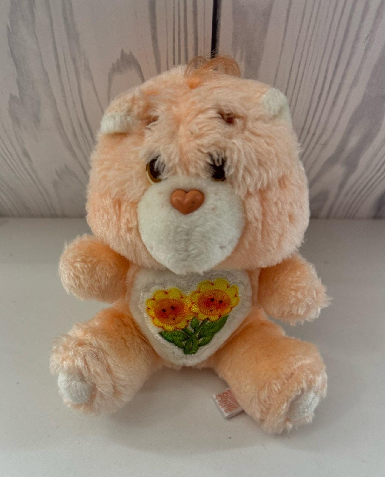 The Big List of Care Bears: A Plush Collector's Guidebook The Big List of Care Bears: A Plush Collector's Guidebook