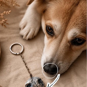 以下が含まれることがあります： 犬の鼻に似た質感のある隆起した刻印が施された円形ペンダント付きの銀色の金属製キーホルダー。ペンダントは短いチェーンと標準的なリングに取り付けられています。白い円と矢印のグラフィックが鼻を指しています。