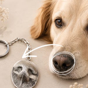 Puede incluir: Un llavero de metal plateado con un colgante circular que presenta una impresión texturizada en tres dimensiones de la nariz de un perro. El colgante está unido a una anilla estándar mediante una cadena metálica corta, reflejando la nariz del perro.