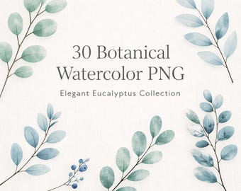 May include: Watercolor botanical PNG images of eucalyptus leaves in shades of blue and green. The image includes the text "30 Botanical Watercolor PNG" and "Elegant Eucalyptus Collection". The leaves are arranged on a white background.