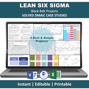 Material de Treinamento Lean Six Sigma Black Belt | Pacote com 4 Projetos DMAIC Resolvidos