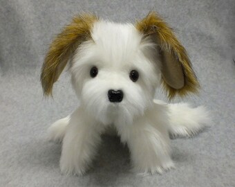 May include: A plush white dog with brown and tan ears and a black nose. The dog is sitting on its haunches, with its front paws extended. The dog has large, dark eyes and a fluffy white coat.
