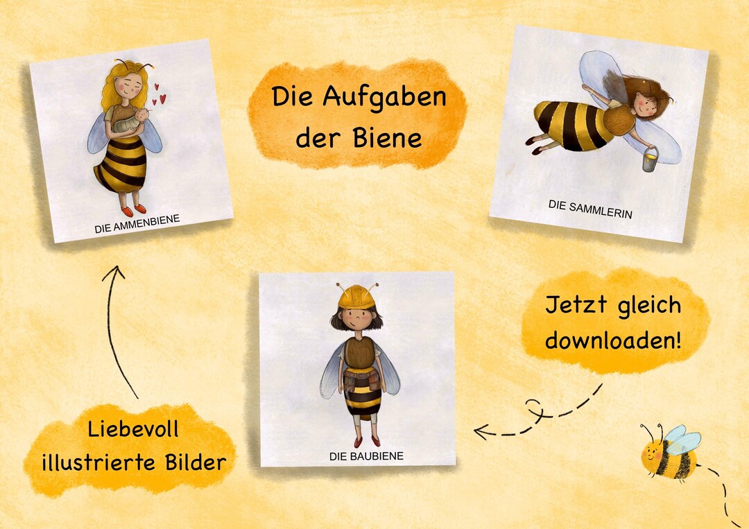 Bee Task The Tasks of the Bee | Flashcards | Kindergarten & School - Etsy