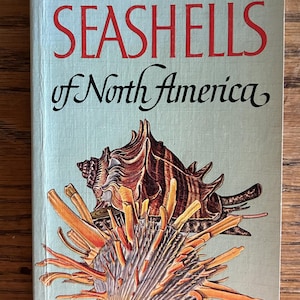 Vintage 1968 Seashells of North America Golden Field Guide by R. Tucker Abbott – Beachcomber Gift Coastal Decor