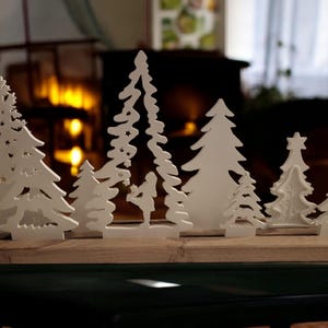 Sterntaler / weihnachtlicher Wald