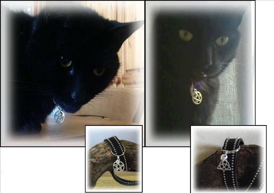 Cat Collar Charm Triquetra or Pentagram Pagan Wicca Familiar Etsy