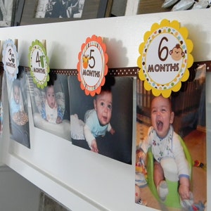 Safari Party 12 Month Photo Banner, Safari First Birthday Photo Banner, Baby&#39;s First Year