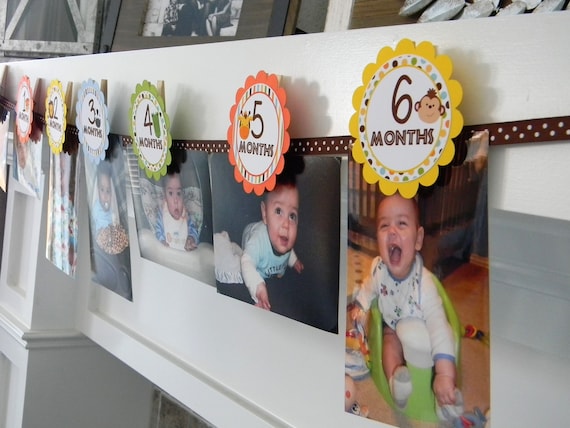 Safari Photo Banner, 1st Birthday, Newborn to 12 Months Banner Il_570xn