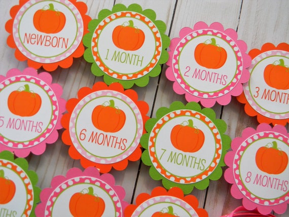 Pumpkin Photo Banner, 1st Birthday, Newborn to 12 Months Banner in Pink and Green