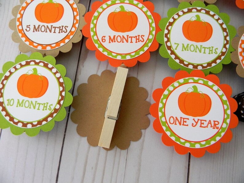 Pumpkin Photo Banner Newborn to 12 Months Banner 1st Birthday