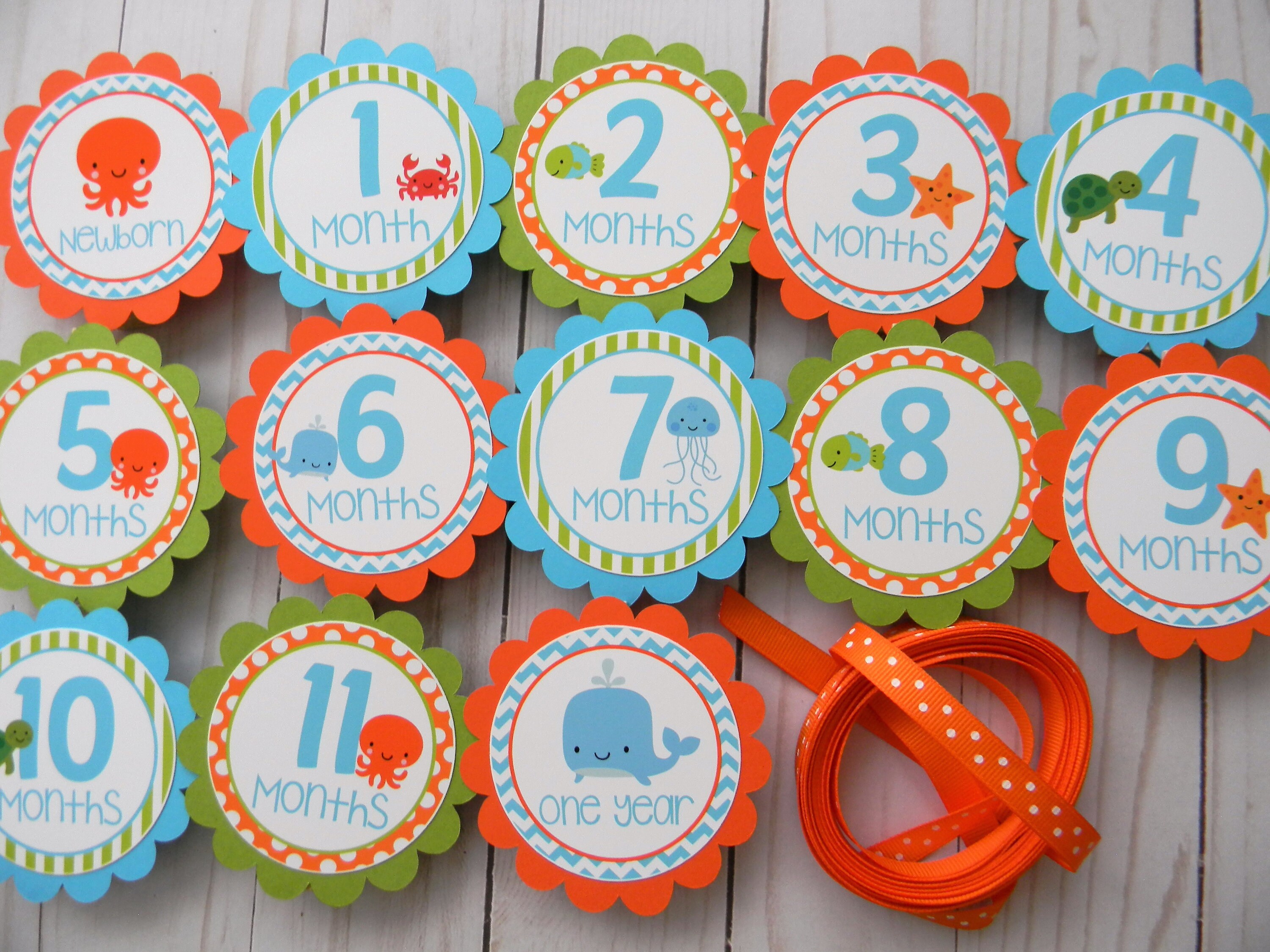 Under the Sea First Birthday Photo Banner: 12 Month Milestone - Etsy
