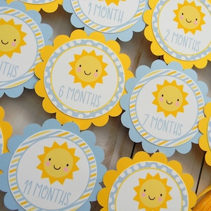 You Are My Sunshine 12 Month Photo Banner, Sunshine First Birthday Photo Banner, Baby's First Year