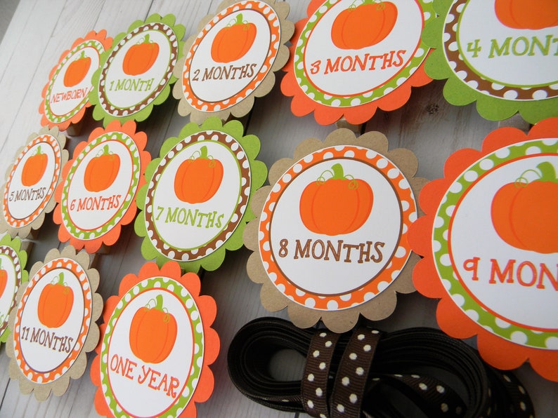 Pumpkin Photo Banner Newborn to 12 Months Banner 1st Birthday