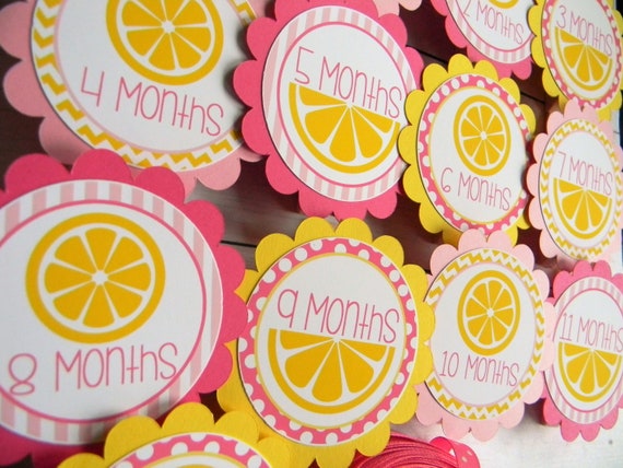 Pink Lemonade Photo Banner, 1st Birthday, Newborn to 12 Months Banner