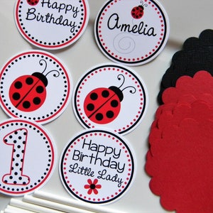 Ladybug DIY Cupcake Topper Kit, Ladybug Cupcakes, DIY Party Decor