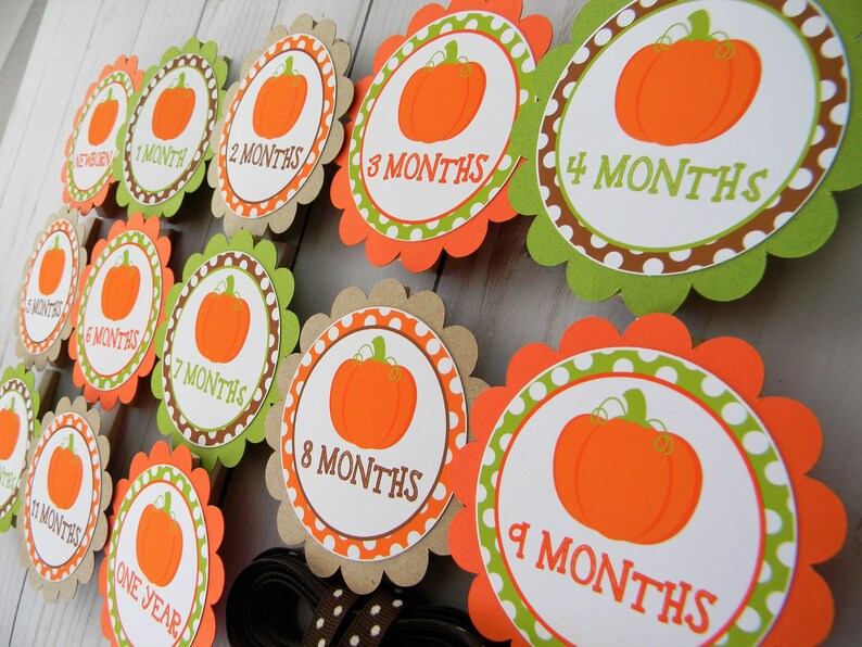 Pumpkin Photo Banner Newborn to 12 Months Banner 1st Birthday