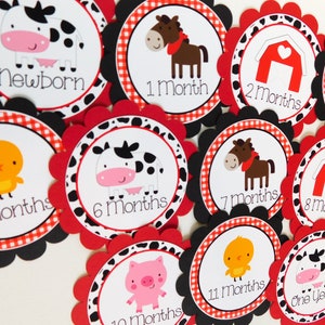 Farm 12 Month Photo Banner Tags, Farm First Birthday Photo Banner, Baby&#39;s First Year