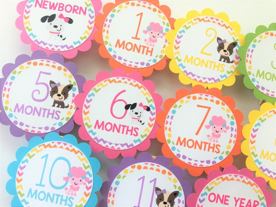 Puppy Dog Photo Banner, 1st Birthday, Newborn to 12 Months Banner
