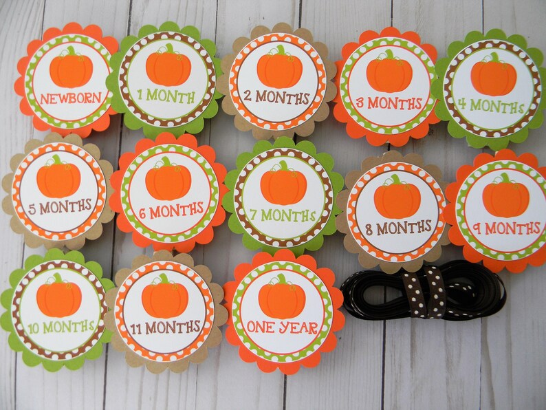 Pumpkin Photo Banner Newborn to 12 Months Banner 1st Birthday