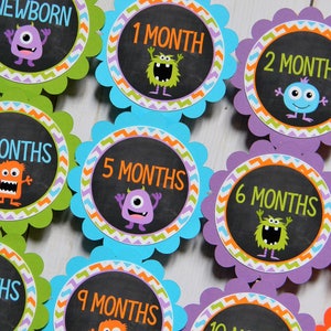 Monster Party 12 Month Photo Banner, Monster First Birthday Photo Banner, Baby&#39;s First Year