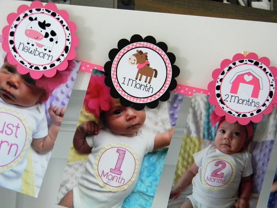 Girl Farm Photo Banner, 1st Birthday, Newborn to 12 Months Banner in Pink and Black