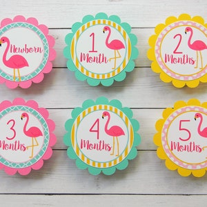 Flamingo Party 12 Month Photo Banner, Flamingo First Birthday Photo Banner, Baby&#39;s First Year