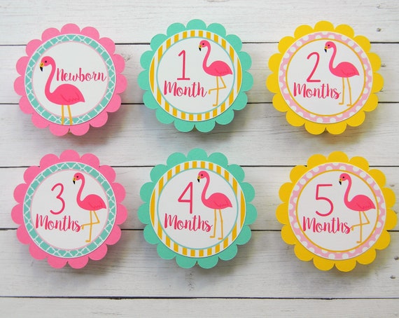 Flamingo Photo Banner, 1st Birthday, Newborn to 12 Months Banner