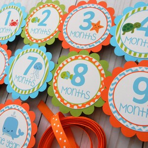 Under the Sea 12 Month Photo Banner, Under the Sea First Birthday Photo Banner, Baby&#39;s First Year