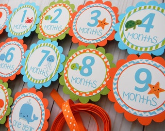 Under the Sea Photo Banner, 1st Birthday, Newborn to 12 Months Banner