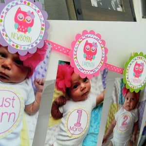 Owl Party 12 Month Photo Banner, Owl First Birthday Photo Banner, Baby&#39;s First Year