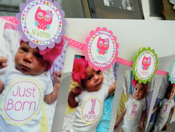 Owl Photo Banner, 1st Birthday, Newborn to 12 Months Banner