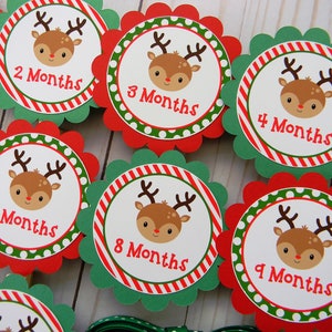 Reindeer 12 Month Photo Banner, Christmas First Birthday Photo Banner, Baby's First Year