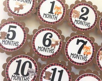 Forest Animals Photo Banner, 1st Birthday, Newborn to 12 Months Banner