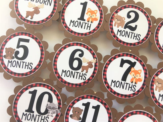 Forest Animals Photo Banner, 1st Birthday, Newborn to 12 Months Banner